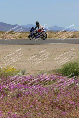 media/Mar-12-2023-SoCal Trackdays (Sun) [[d4c8249724]]/Turn 15 Inside Bloom (130pm)/